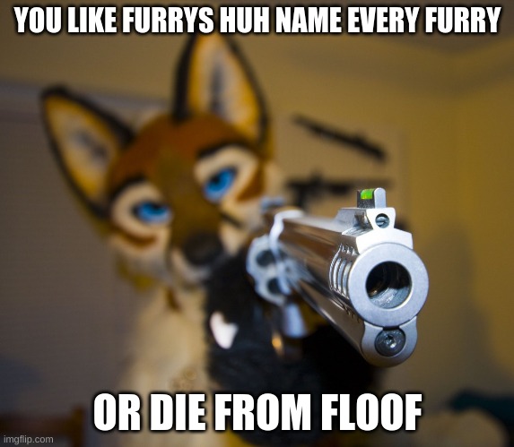 i'll name all of them | YOU LIKE FURRYS HUH NAME EVERY FURRY; OR DIE FROM FLOOF | image tagged in furry with gun | made w/ Imgflip meme maker