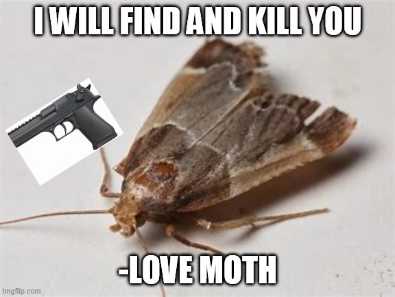 Love moth | I WILL FIND AND KILL YOU; -LOVE MOTH | image tagged in one does not simply | made w/ Imgflip meme maker