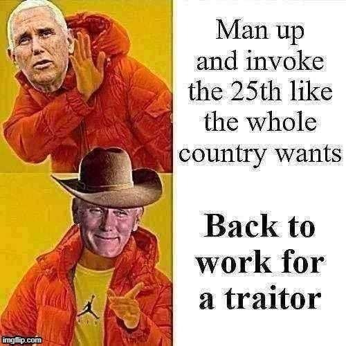 What makes the man tick anyway | image tagged in traitor,traitors,mike pence,mike pence vp,republicans,trump is an asshole | made w/ Imgflip meme maker