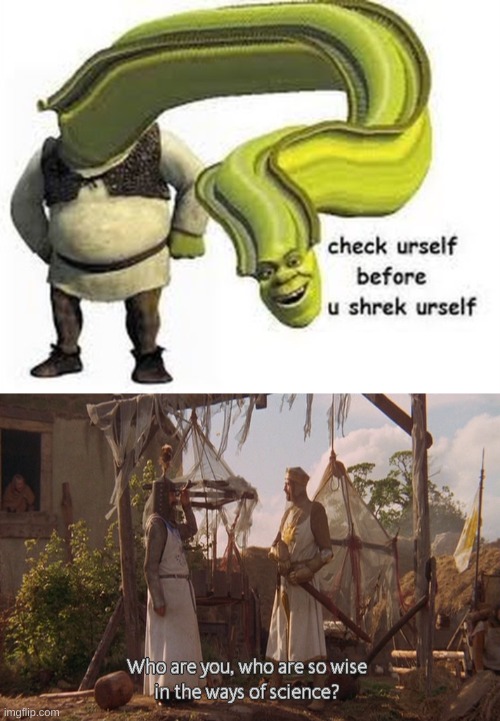 top 10 motivational quotes | image tagged in memes,funny,shrek,who are you so wise in the ways of science,quotes | made w/ Imgflip meme maker