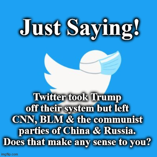 twitter | Just Saying! Twitter took Trump off their system but left CNN, BLM & the communist parties of China & Russia.
Does that make any sense to you? | image tagged in twitter | made w/ Imgflip meme maker