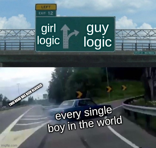 girls kinda suck and are so retarded when it comes to logic | girl logic; guy logic; THIS ROAD HAS BEEN BLOCKED; every single boy in the world | image tagged in memes,left exit 12 off ramp | made w/ Imgflip meme maker