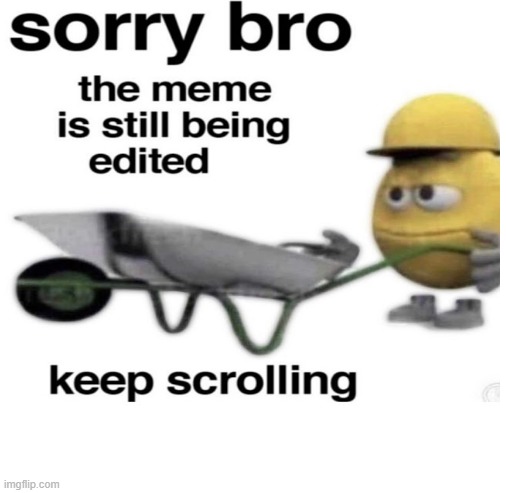Sorry Bro | image tagged in blank white template | made w/ Imgflip meme maker
