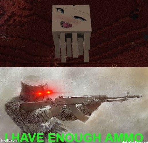 image tagged in heresy,crusader,ammo,minecraft | made w/ Imgflip meme maker