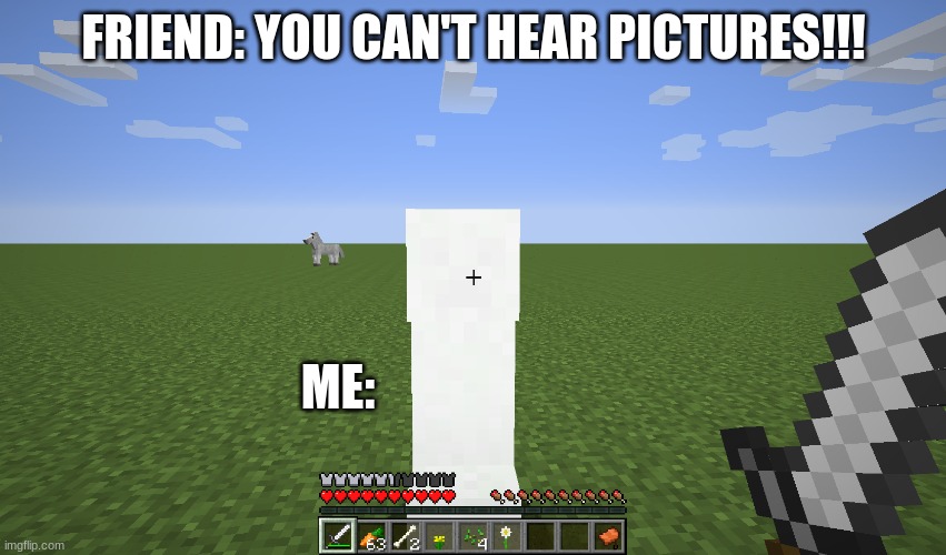 Whatever....... | FRIEND: YOU CAN'T HEAR PICTURES!!! ME: | image tagged in creeper explosion,picture,hearing | made w/ Imgflip meme maker