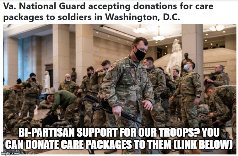 We can all agree on this. There is no bi-partisan stream. | BI-PARTISAN SUPPORT FOR OUR TROOPS? YOU CAN DONATE CARE PACKAGES TO THEM (LINK BELOW) | image tagged in bipartisan,support our troops,capitol hill | made w/ Imgflip meme maker