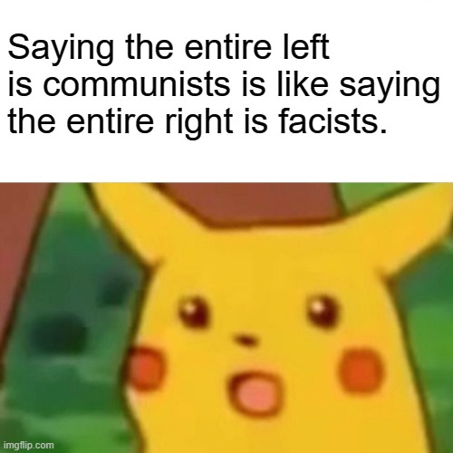 think about that for a second | Saying the entire left is communists is like saying the entire right is facists. | image tagged in memes,surprised pikachu,leftists | made w/ Imgflip meme maker