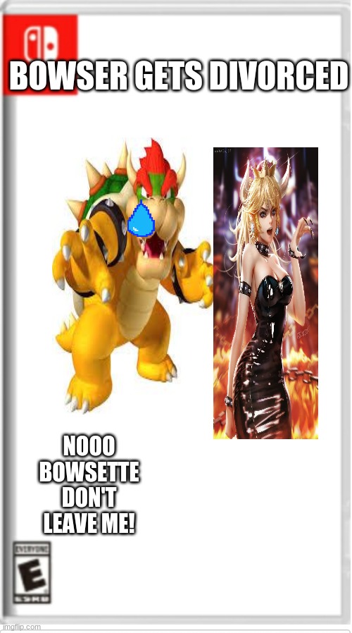 Again, the brilliant idea of CreeperCAT4747! | BOWSER GETS DIVORCED; NOOO BOWSETTE DON'T LEAVE ME! | image tagged in blank switch game | made w/ Imgflip meme maker