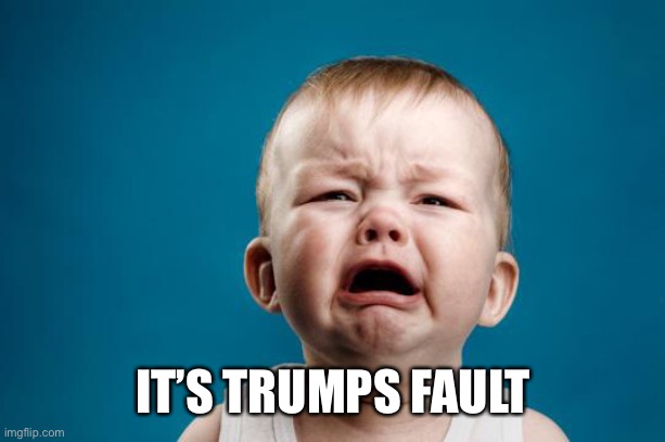 BABY CRYING | IT’S TRUMPS FAULT | image tagged in baby crying | made w/ Imgflip meme maker