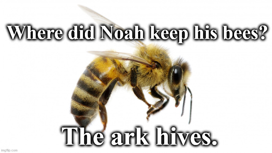 bee | Where did Noah keep his bees? The ark hives. | image tagged in bee | made w/ Imgflip meme maker