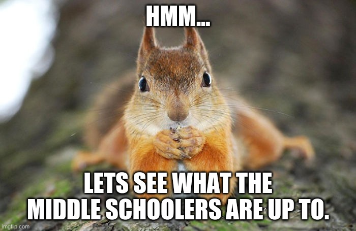 squirrel lets see | HMM... LETS SEE WHAT THE MIDDLE SCHOOLERS ARE UP TO. | image tagged in squirrel lets see,unhelpful high school teacher,middle school | made w/ Imgflip meme maker