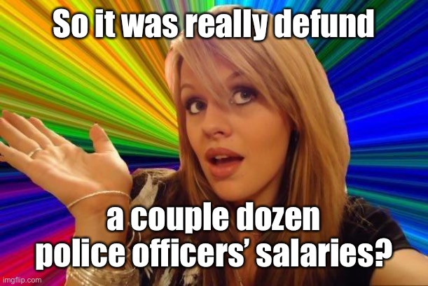 Dumb Blonde Meme | So it was really defund a couple dozen police officers’ salaries? | image tagged in memes,dumb blonde | made w/ Imgflip meme maker