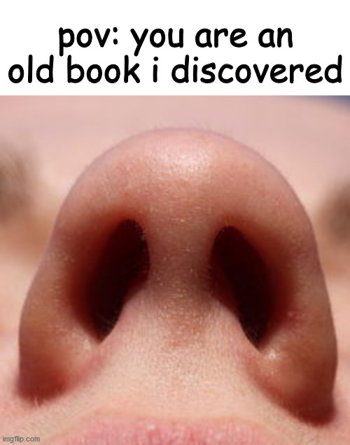 why did i make this | pov: you are an old book i discovered | image tagged in blank white template | made w/ Imgflip meme maker