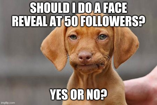 Hmm... should I? | SHOULD I DO A FACE REVEAL AT 50 FOLLOWERS? YES OR NO? | image tagged in dissapointed puppy,face reveal | made w/ Imgflip meme maker