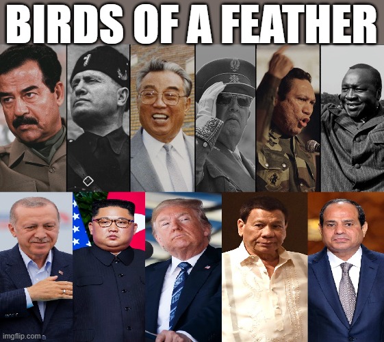 BIRDS OF A FEATHER | BIRDS OF A FEATHER | image tagged in birds of a feather,dictator,trump,weak,failure,loser | made w/ Imgflip meme maker