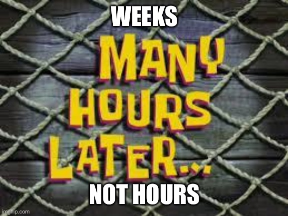 Many Hours Later... | WEEKS NOT HOURS | image tagged in many hours later | made w/ Imgflip meme maker