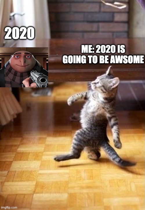 Cool Cat Stroll | 2020; ME: 2020 IS GOING TO BE AWSOME | image tagged in memes,cool cat stroll | made w/ Imgflip meme maker
