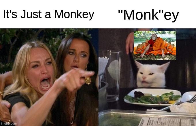 Woman Yelling At Cat Meme | It's Just a Monkey; "Monk"ey | image tagged in memes,woman yelling at cat | made w/ Imgflip meme maker
