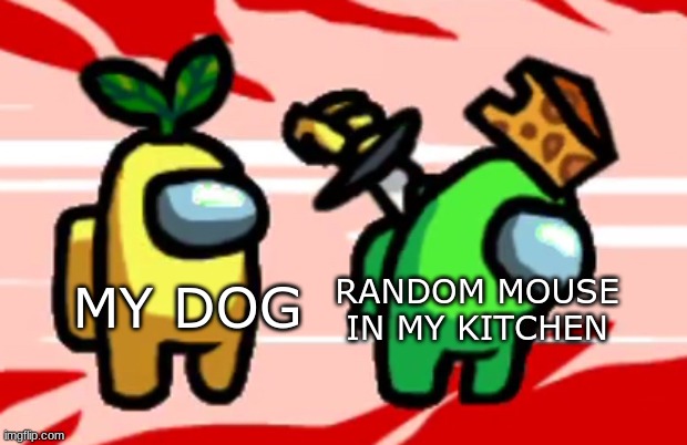 Among Us Stab | RANDOM MOUSE IN MY KITCHEN; MY DOG | image tagged in among us stab | made w/ Imgflip meme maker