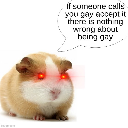 Accept it you homophobic dunce | image tagged in memes | made w/ Imgflip meme maker