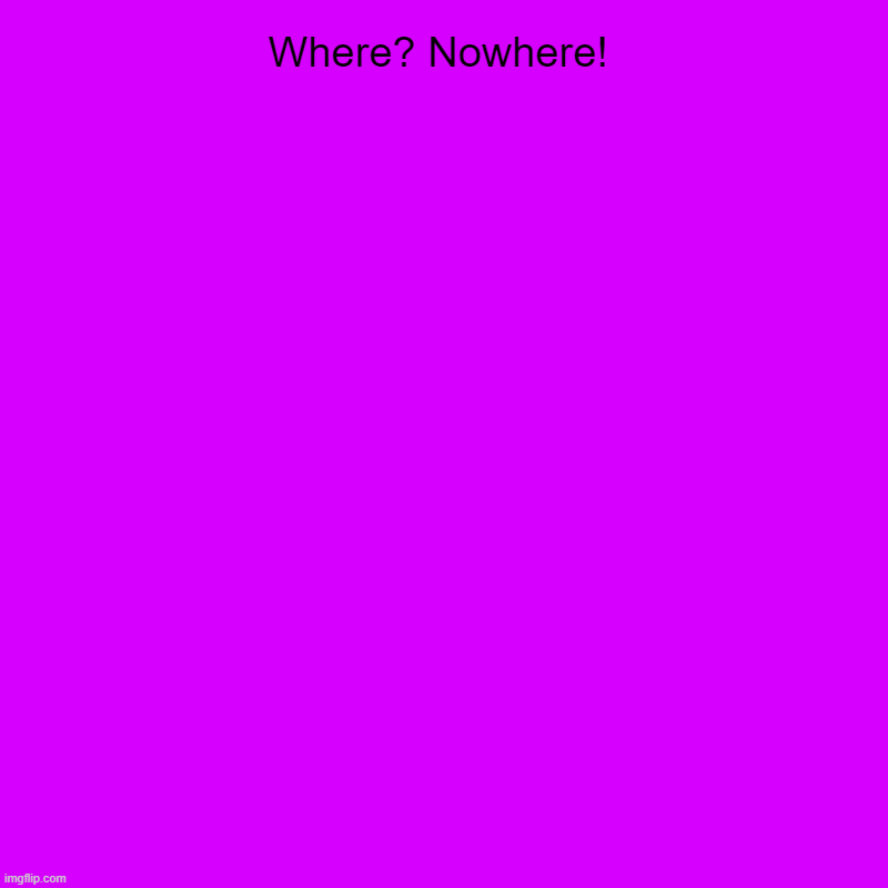 Where? Nowhere! | | image tagged in charts,donut charts | made w/ Imgflip chart maker