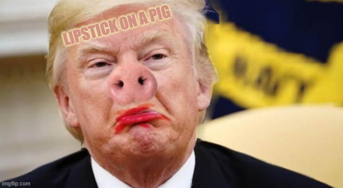 LIPSTICK ON A PIG | LIPSTICK ON A PIG | image tagged in lipstick,trump,pig,loser,traitor,sedition | made w/ Imgflip meme maker