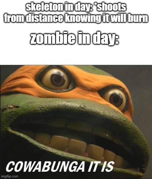 Cowabunga It Is | zombie in day:; skeleton in day: *shoots from distance knowing it will burn | image tagged in cowabunga it is | made w/ Imgflip meme maker