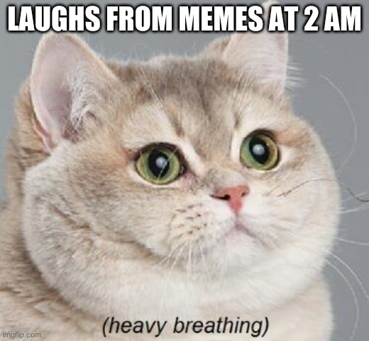 Heavy Breathing Cat Meme | LAUGHS FROM MEMES AT 2 AM | image tagged in memes,heavy breathing cat | made w/ Imgflip meme maker