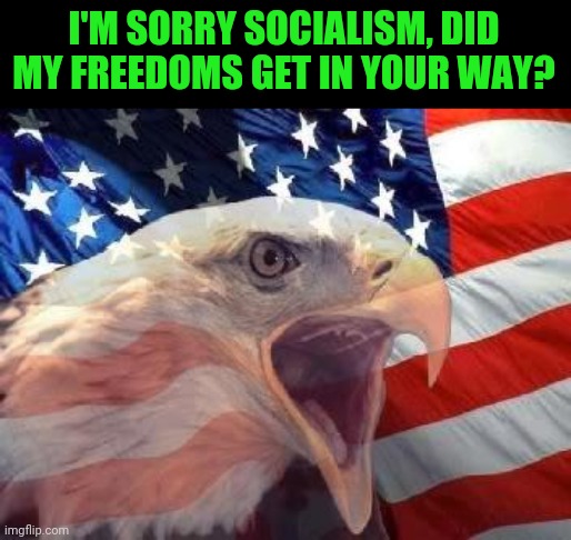 Patriotic Eagle | I'M SORRY SOCIALISM, DID MY FREEDOMS GET IN YOUR WAY? | image tagged in patriotic eagle | made w/ Imgflip meme maker