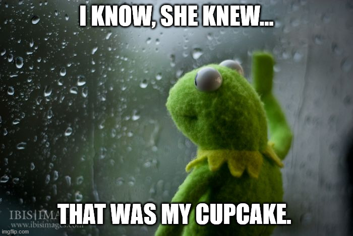 kermit window | I KNOW, SHE KNEW... THAT WAS MY CUPCAKE. | image tagged in kermit window | made w/ Imgflip meme maker