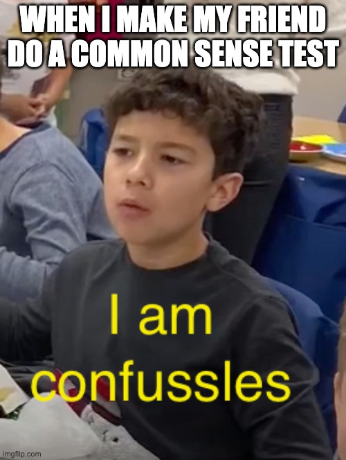 Common sense test | WHEN I MAKE MY FRIEND DO A COMMON SENSE TEST | image tagged in confused | made w/ Imgflip meme maker