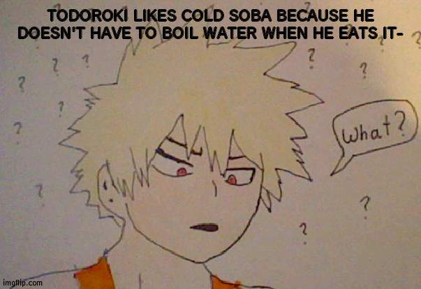 ITS TRUE TF- | TODOROKI LIKES COLD SOBA BECAUSE HE DOESN'T HAVE TO BOIL WATER WHEN HE EATS IT- | image tagged in bakugo what | made w/ Imgflip meme maker