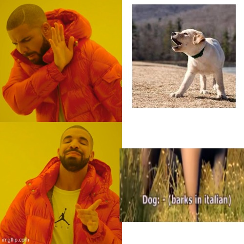 Mhhhhmmmm borking on italin | image tagged in memes,drake hotline bling | made w/ Imgflip meme maker