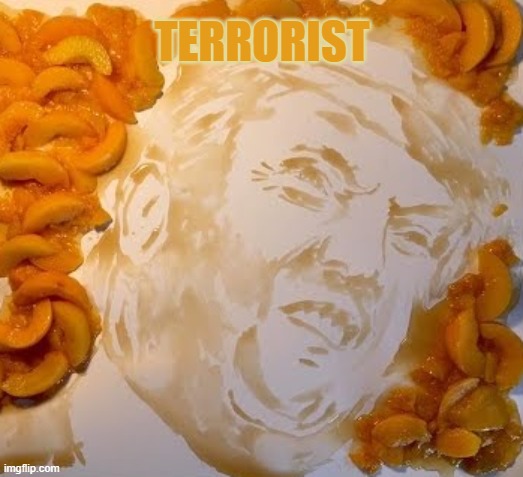TERRORIST | TERRORIST | image tagged in impeach,peach,trump,2 times,terrorist,loser | made w/ Imgflip meme maker
