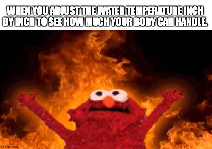 elmo fire | WHEN YOU ADJUST THE WATER TEMPERATURE INCH BY INCH TO SEE HOW MUCH YOUR BODY CAN HANDLE. | image tagged in elmo fire | made w/ Imgflip meme maker