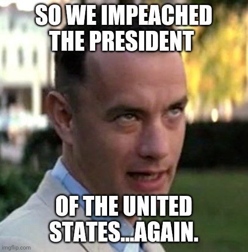 Forrest Gump again |  SO WE IMPEACHED THE PRESIDENT; OF THE UNITED STATES...AGAIN. | image tagged in forrest gump again | made w/ Imgflip meme maker