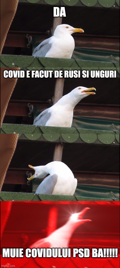 ROMANIA CURATA FARA PSD ALDE UDMR PRO ROMANIA CCR WEBER UNGARIA RUSIA. #MUIEBA #REZIST | DA; COVID E FACUT DE RUSI SI UNGURI; MUIE COVIDULUI PSD BA!!!!! | image tagged in memes,inhaling seagull,romania,muie covid,ultras liberi rezist,psd ciuma rosie | made w/ Imgflip meme maker