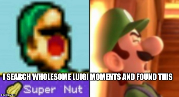 bruh | I SEARCH WHOLESOME LUIGI MOMENTS AND FOUND THIS | image tagged in luigi | made w/ Imgflip meme maker