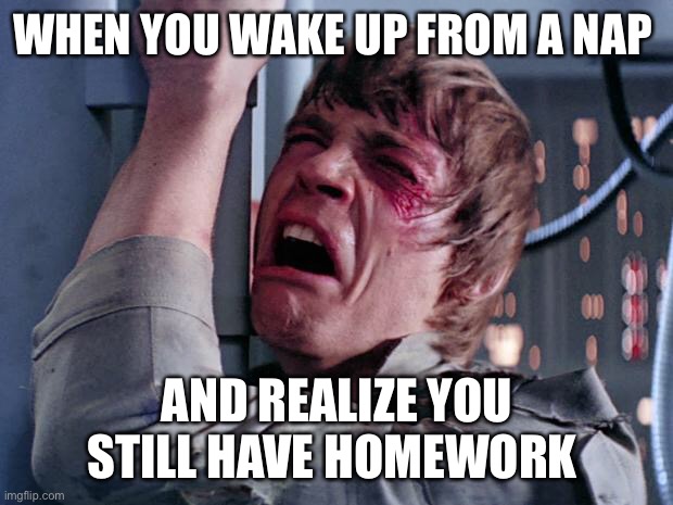 When u r tired |  WHEN YOU WAKE UP FROM A NAP; AND REALIZE YOU STILL HAVE HOMEWORK | image tagged in luke nooooo | made w/ Imgflip meme maker