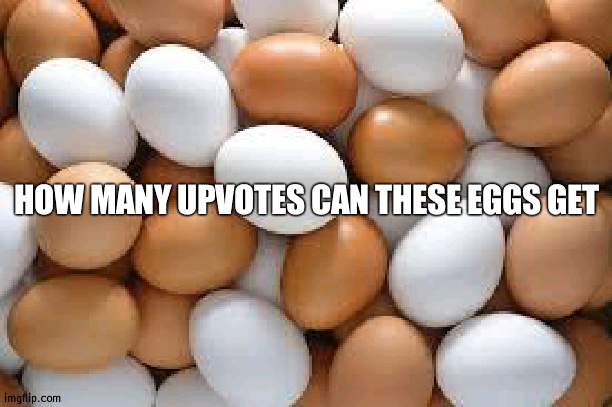 Trying to pull off a Mr Beast here | HOW MANY UPVOTES CAN THESE EGGS GET | image tagged in eggs,mr beast,upvotes | made w/ Imgflip meme maker