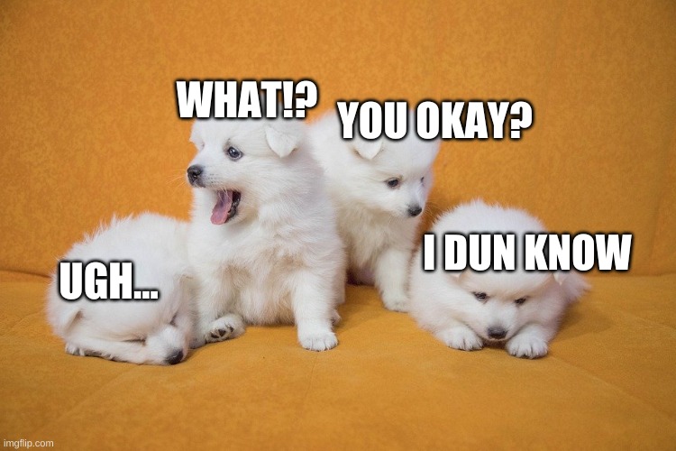 puppy pack | YOU OKAY? WHAT!? I DUN KNOW; UGH... | image tagged in puppy pack | made w/ Imgflip meme maker