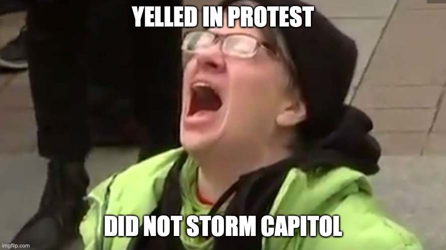 didn't storm capitol | YELLED IN PROTEST; DID NOT STORM CAPITOL | image tagged in screaming liberal | made w/ Imgflip meme maker