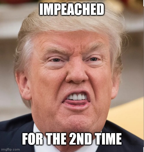Trump impeached | IMPEACHED; FOR THE 2ND TIME | image tagged in donald trump | made w/ Imgflip meme maker