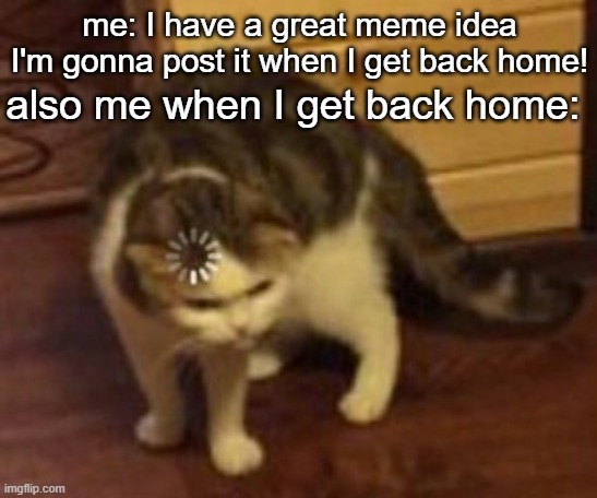 Cmon brain! | also me when I get back home:; me: I have a great meme idea I'm gonna post it when I get back home! | image tagged in loading cat | made w/ Imgflip meme maker