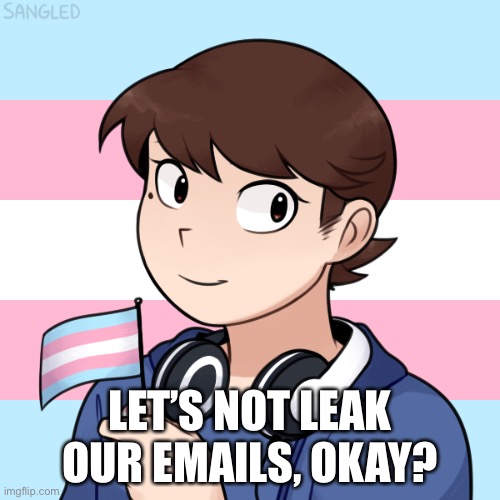 LET’S NOT LEAK OUR EMAILS, OKAY? | image tagged in darmug's trans picrew | made w/ Imgflip meme maker