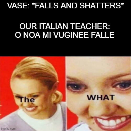 The What | VASE: *FALLS AND SHATTERS*; OUR ITALIAN TEACHER: O NOA MI VUGINEE FALLE | image tagged in the what | made w/ Imgflip meme maker