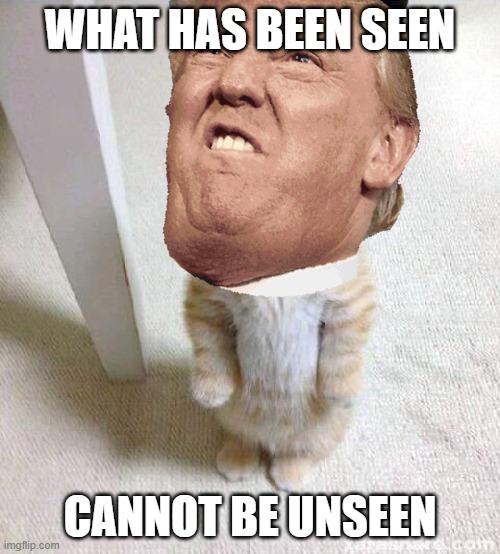 Trumpy Cat | WHAT HAS BEEN SEEN; CANNOT BE UNSEEN | image tagged in trumpy cat,funny,basaldamemer | made w/ Imgflip meme maker