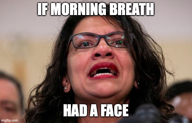IF MORNING BREATH; HAD A FACE | image tagged in rashida tlaib,congress,democrats | made w/ Imgflip meme maker