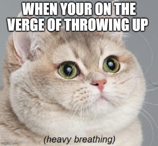 Heavy Breathing Cat | WHEN YOUR ON THE VERGE OF THROWING UP | image tagged in memes,heavy breathing cat | made w/ Imgflip meme maker