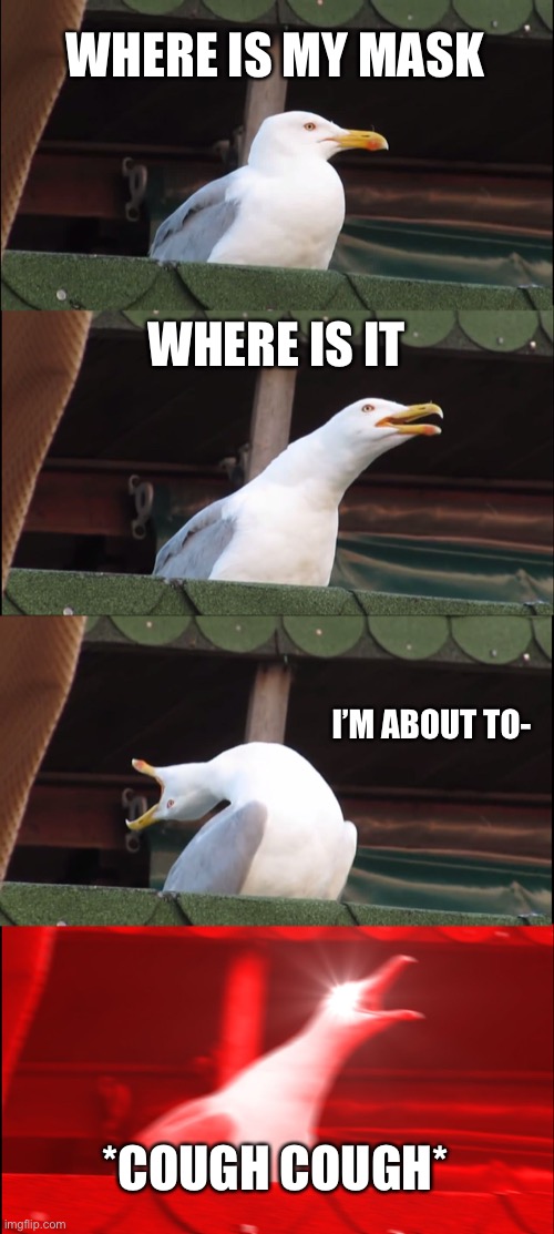 Covid-19 No mask | WHERE IS MY MASK; WHERE IS IT; I’M ABOUT TO-; *COUGH COUGH* | image tagged in memes,inhaling seagull,covid-19 | made w/ Imgflip meme maker